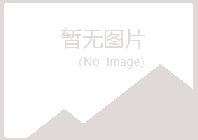 平川区如柏金融有限公司